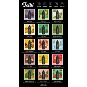 Feibi 菲比 8000口 拋棄式